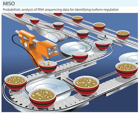 A pipeline of RNA-Seq samples as bowls of MISO soup (graphic by Lou Eisenman)